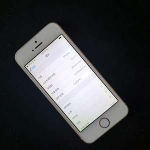 아이폰 5S 골드 16GB (DQGPC) 이미지