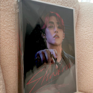 [미개봉/정품] 세븐틴 에스쿱스 생일박스 ver.4 포카포함