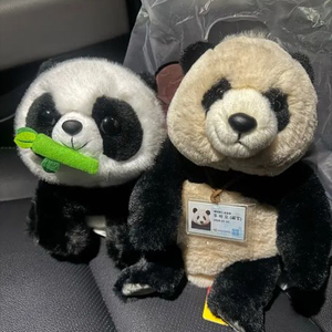 에버랜드 판다인형 새것 일괄 이미지