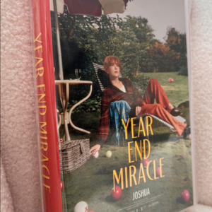 [미개봉/정품] 세븐틴 조슈아 생일박스 ver.4 포카포함