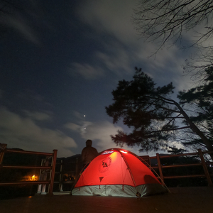 빅아그네스 쉴드2(초A급)