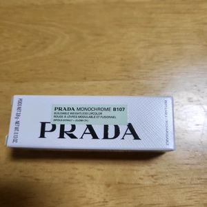 모노크롬 립스틱 B107 코랄