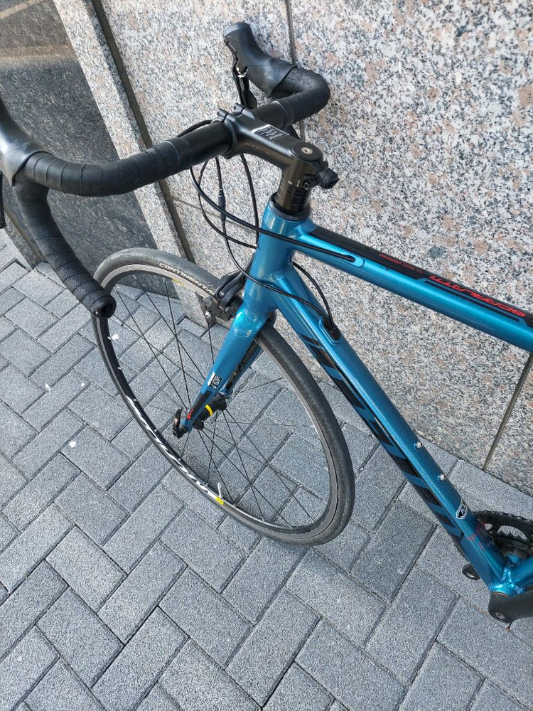 첼로 스칼라티 로드 자전거--2