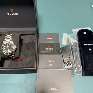 튜더 펠라고스 티타늄 39미리