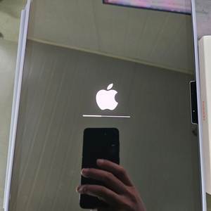 아이패드 11인치 m4 와이파이 1테라