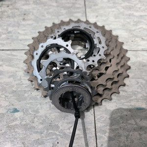 캄파놀로 슈퍼레코드 12단 스프라켓