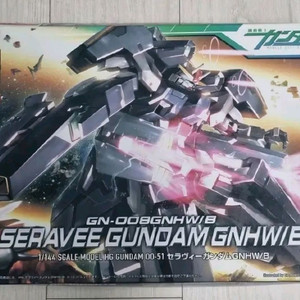 HG 세라비 건담 GNHW/B