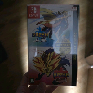 닌텐도 스위치 포켓몬스터 소드실드