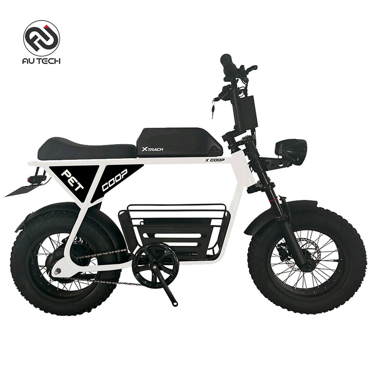 AU테크 전기자전거 자토바이 전제품 팝니다--2