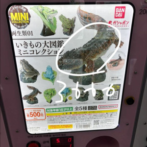 짱구 피규어 ,가챠 굿즈 카드캡터체리 가챠, 생물대백과 가챠(도롱뇽),킨더조이 ,라이온킹 가챠, 쌀알피규어 등등 이미지