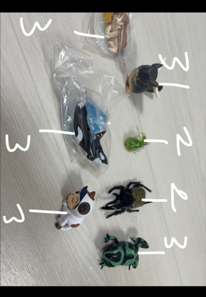 짱구 피규어 ,가챠 굿즈 카드캡터체리 가챠, 생물대백과 가챠(도롱뇽),킨더조이 ,라이온킹 가챠, 쌀알피규어 등등 이미지