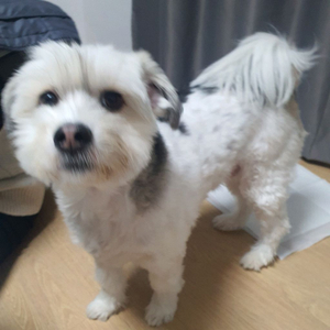 스팀 월렛 스팀 선물식 70%로 판매합니다 이미지