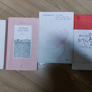 시집 (서정주 대표시 100선/어쩌면 별들이 너의 슬픔을 가져갈지 몰라)