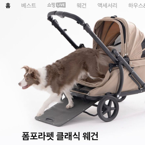 폼포라펫 유모차