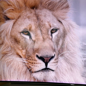 부품용삼성 65인치 커브드 TV (UN65KS9500)팝니다.