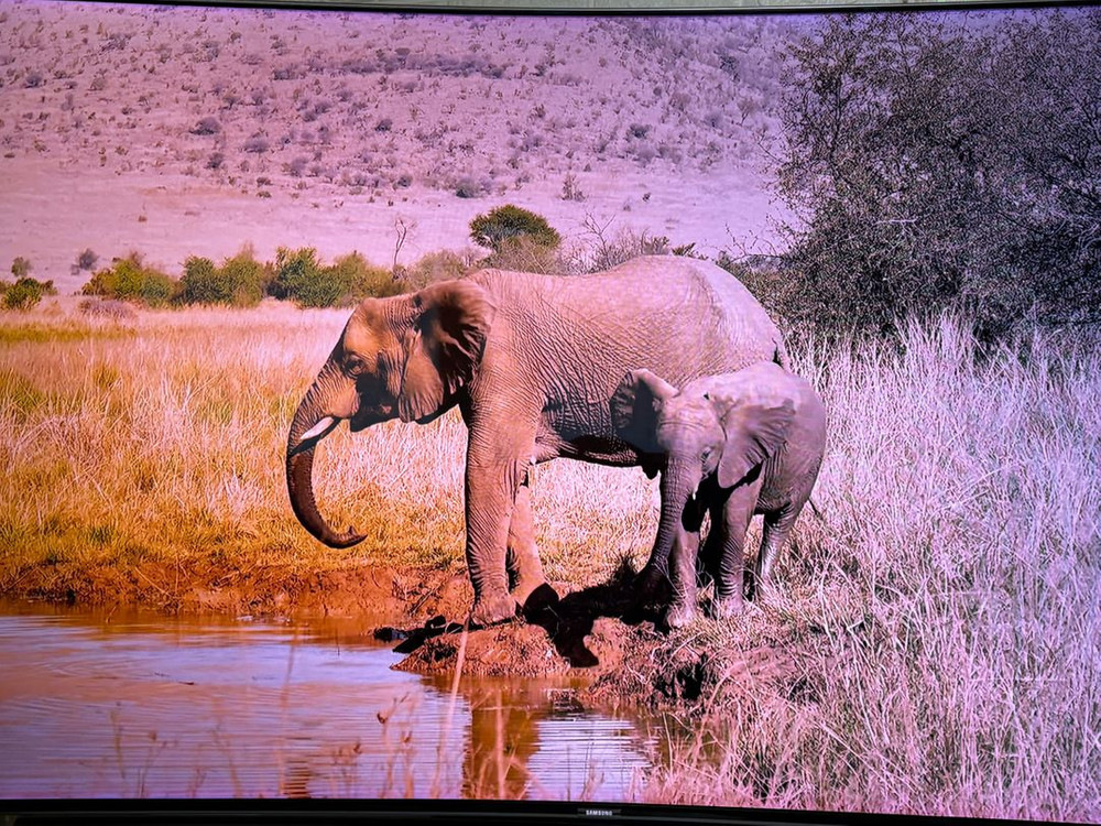 부품용삼성 65인치 커브드 TV (UN65KS9500)팝니다.--1