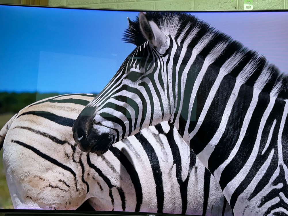 부품용삼성 65인치 커브드 TV (UN65KS9500)팝니다.--3