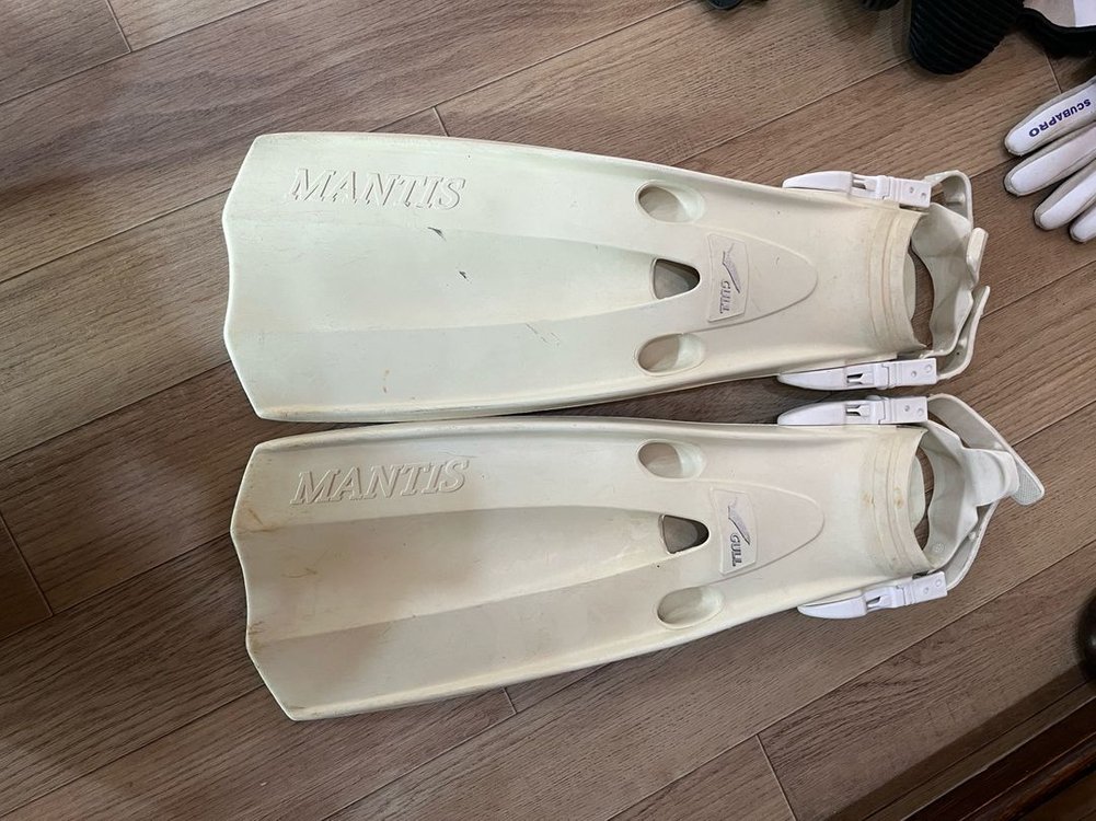 스쿠버 다이빙 용품,여성,마스크,슈트,비씨디,핀 이미지