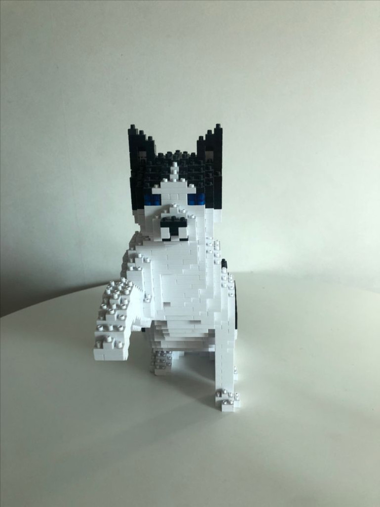 제카 고양이 프리비엄 나노 블럭--9