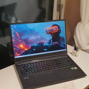 한성 17인치 게이밍노트북(인텔 i7-10th/3060)