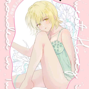 건담시드 아스카가 일본 동인지 회지 아스란 카가리