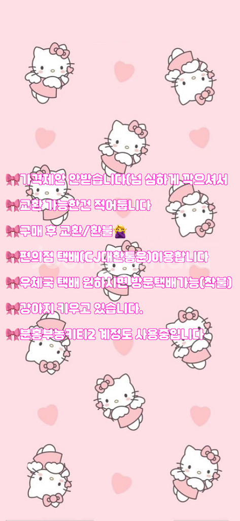 파올라레이나 신발--8