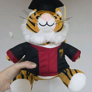 고려대학교 졸업 학사모 인형