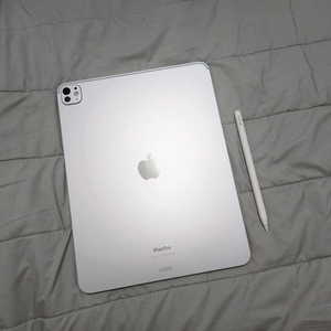 [상태S급] 아이패드 프로 13 m4 256기가 와이파이 + 애플펜슬 프로