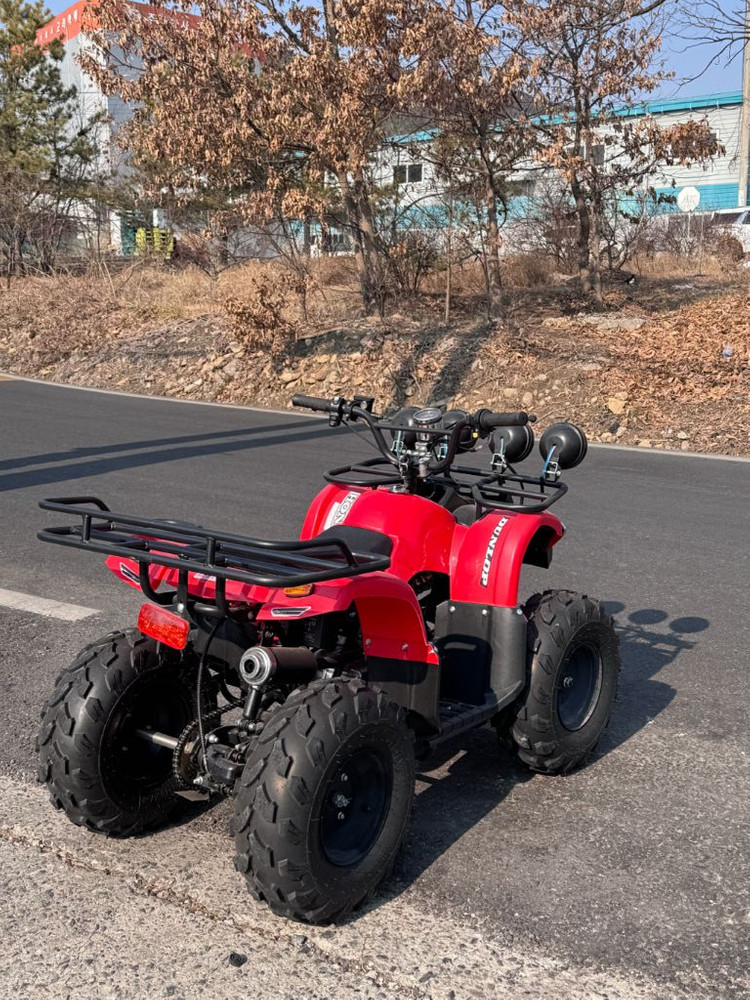 사륜오토바이 사발이--4