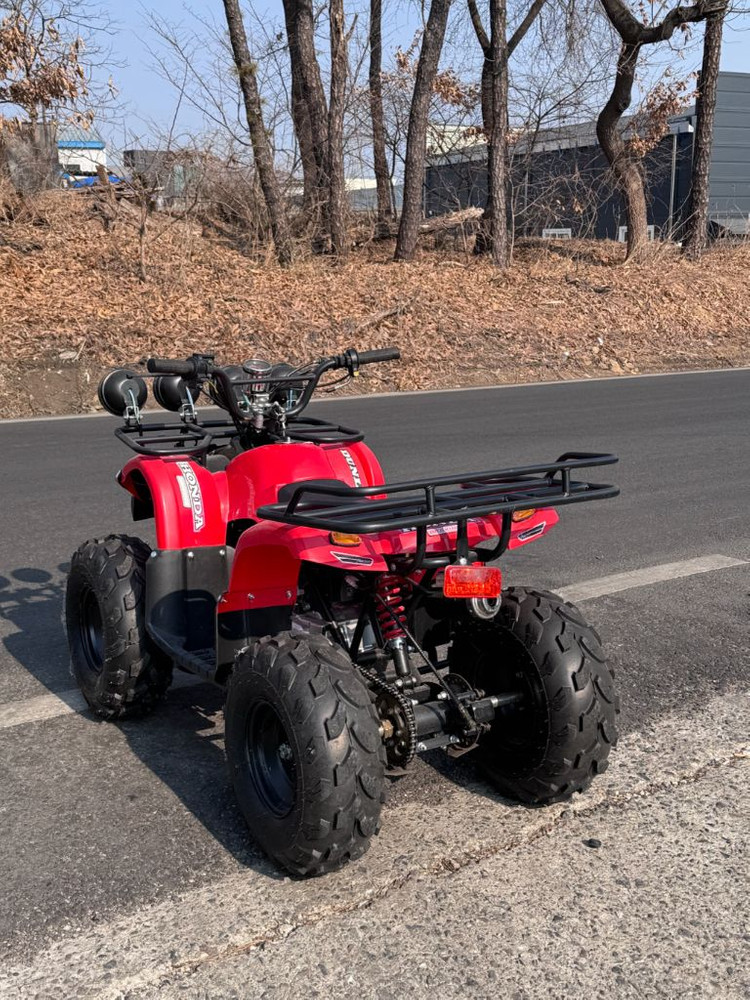 사륜오토바이 사발이--6