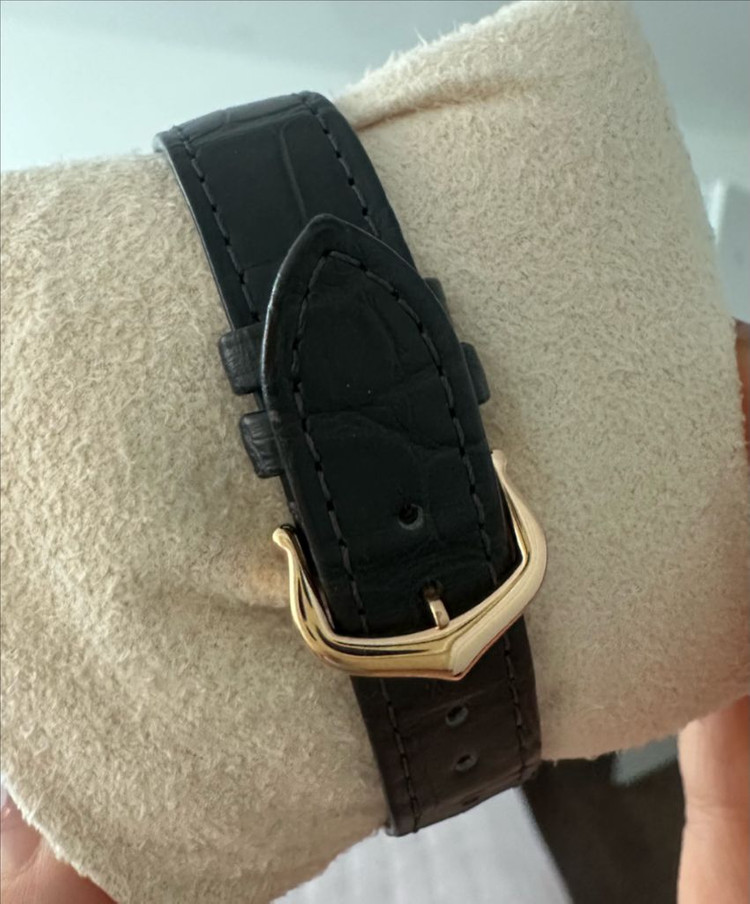 까르띠에 산토스뒤몽 로골 이미지