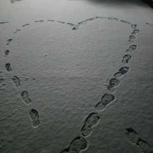 섯다 머니 쿠폰사요