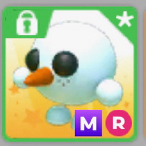 입양하세요 mr스노우볼 이미지