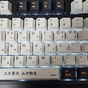 덱 거북선 흑축 팝니다 이미지