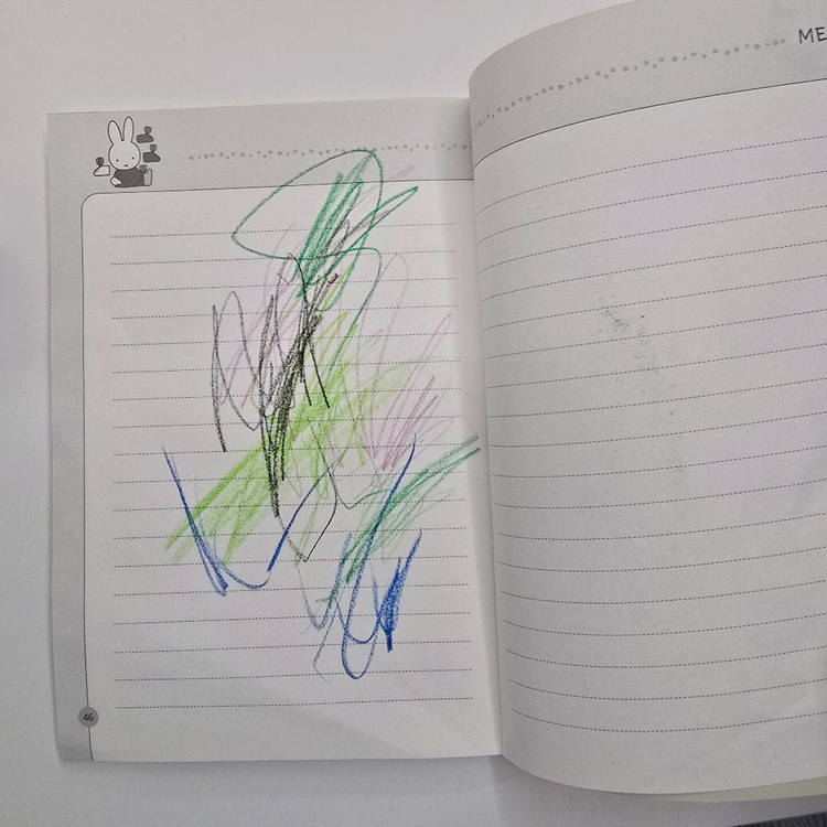 DVD 미피 miffy 1집 2집 22종세트 영한대본포함 색깔 숫자 모양놀이 유아영어 이미지