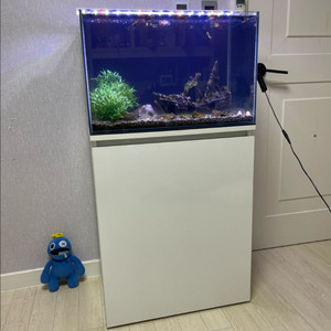 (경기 북부) 2자 중폭 6T 어항 (흙사, 자갈, 수초) 셋팅 수조 받침대 세트 상태 A급 판매 (개별 가능) 이미지