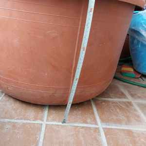 붉은 플라스틱. 대형.