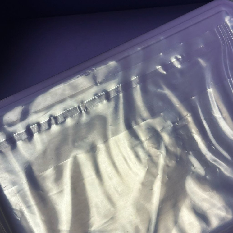 글로리핏 커팅플레이트 다이어트 식판--1