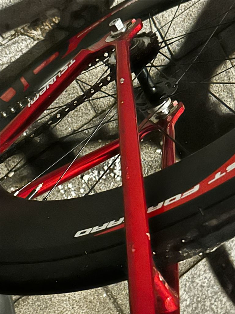 쓰나미 레드와인 중급구성 픽시--3