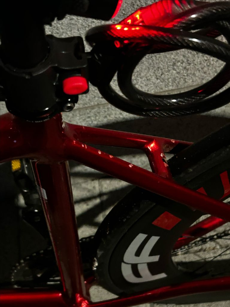 쓰나미 레드와인 중급구성 픽시--5