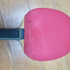 엑시옴 이그니토 탁구라켓