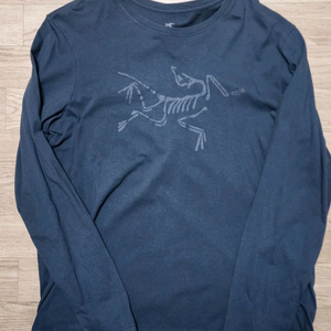 ARCHAEOPTERYX LOGO 남성 LS L/G (아크테릭스 한정 특별판)