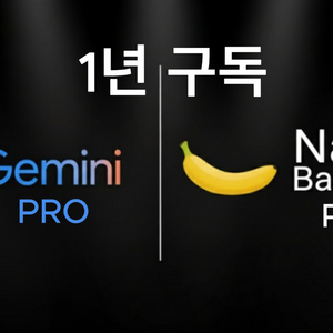 gemini/나노바나나 pro버전