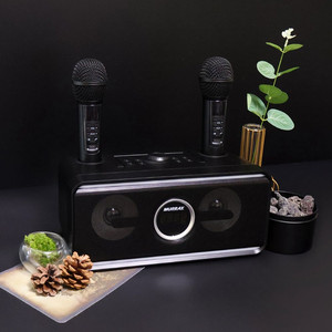 머레이 블루라인 노래방 기계 반주기 블루투스 마이크 에코조절 가정용 야외용 미개봉 새상품