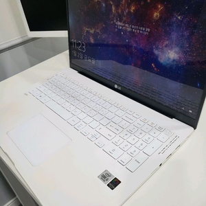 LG그램노트북 17인치(10세대)