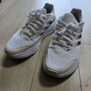 아디다스 퀘스타 러닝화 (260)