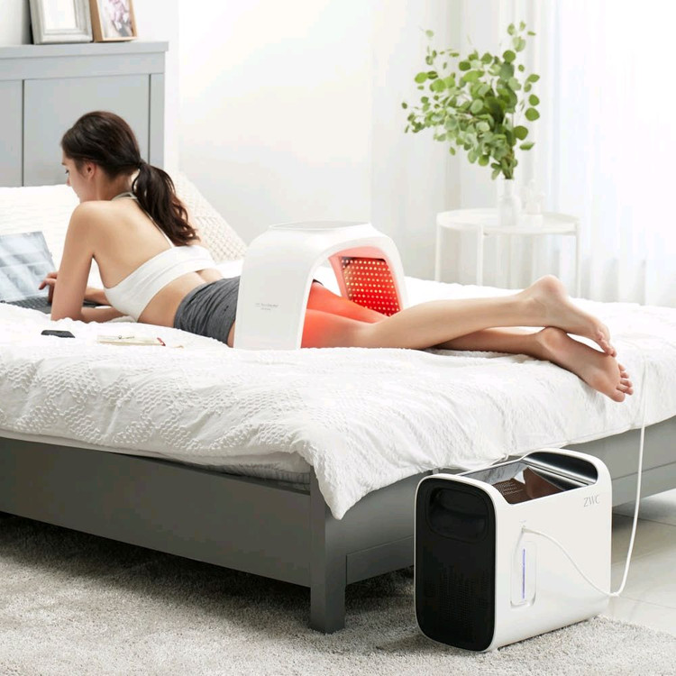 자이글온 전신 피부관리기--1