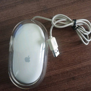 Apple 유선마우스 M5769