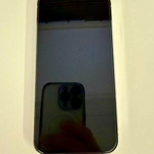 아이폰 12 프로 12 Pro 128GB 실버