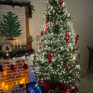 크리스마스 트리 약 2미터